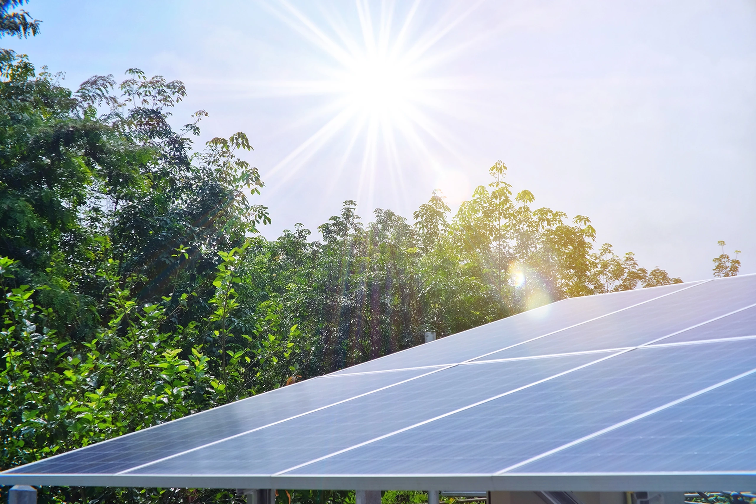 VĚŘÍME V UDRŽITELNOU BUDOUCNOST