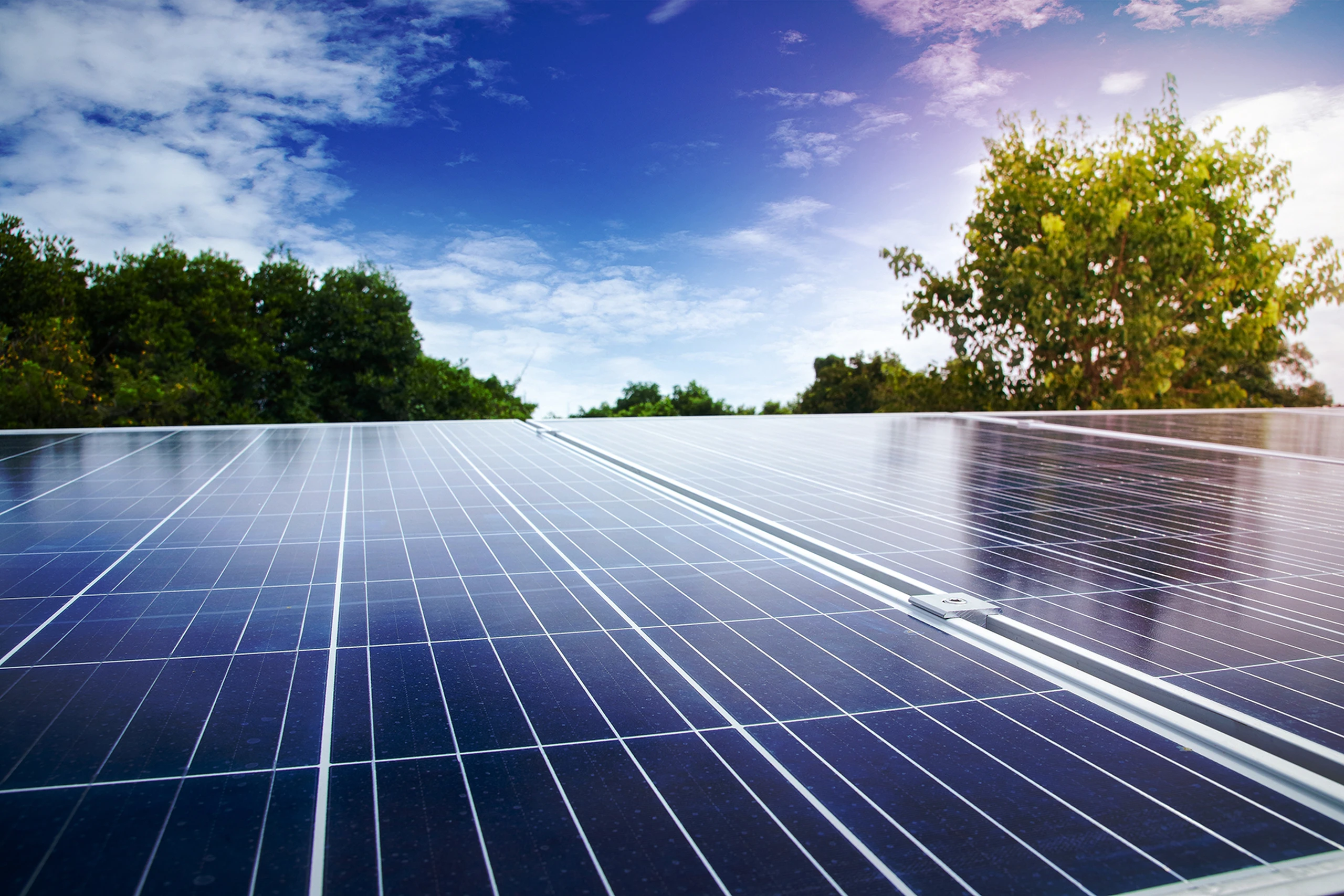 VĚŘÍME V UDRŽITELNOU BUDOUCNOST