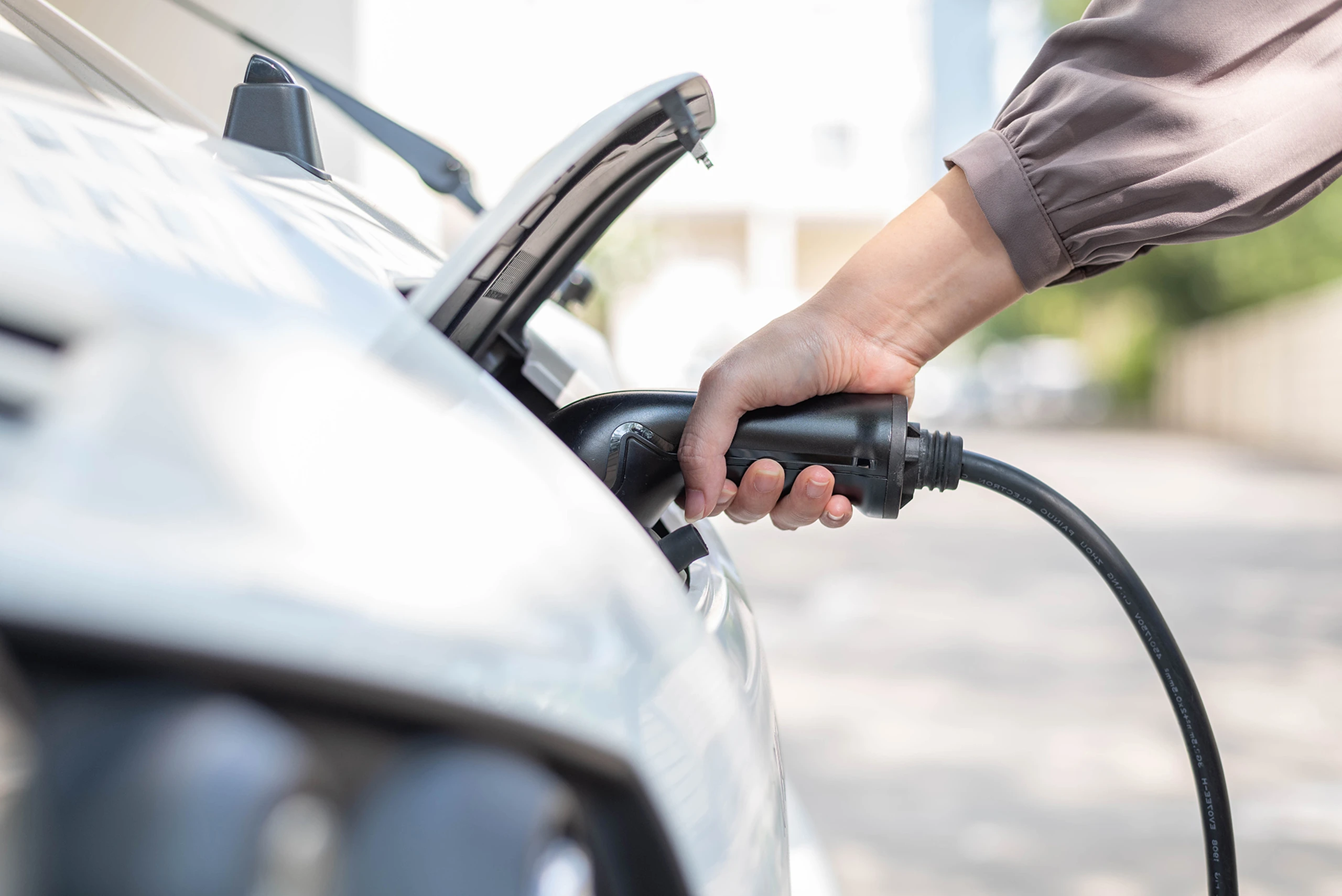 VĚŘÍME V UDRŽITELNOU BUDOUCNOST